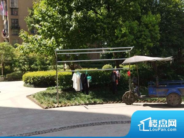 草社区最新地址，邻里日常温馨趣事分享