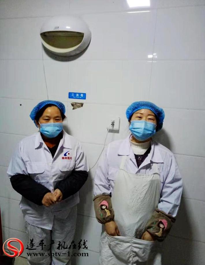 遂平最新招聘信息，时代的脉搏与就业的航标同步更新