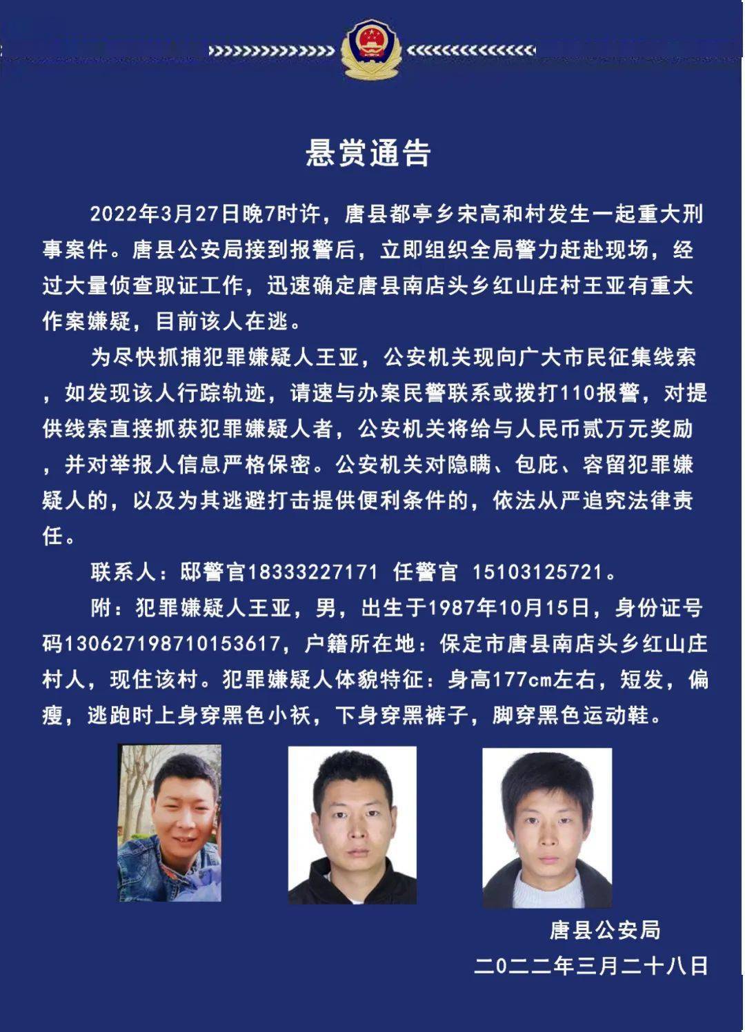 保定最新杀人事件论述报道