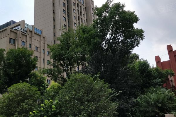 美好汇邻湾最新房价探索，自然美景之旅的居住选择